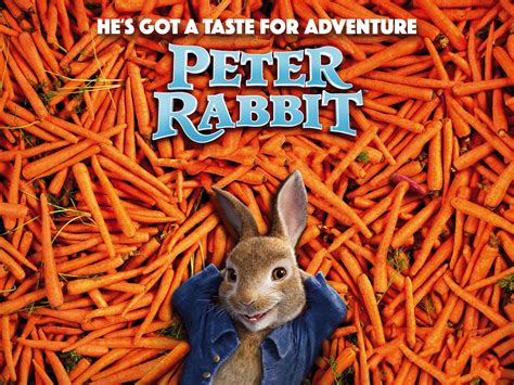 Download Peter Rabbit Adventure Carrots Wallpaper