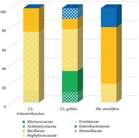 Relative Abundances Of Bacterial Families Of Gut Microbes Present