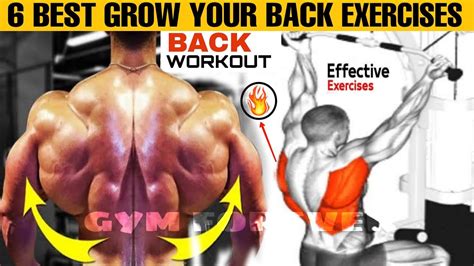 Best Big Wider Back Exercises Big Back Workout Full Back Workout