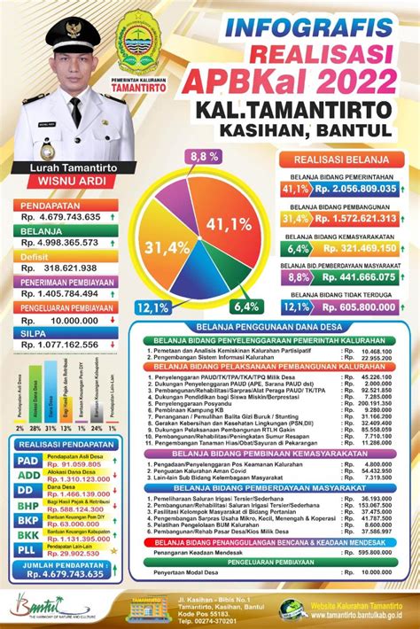 Infografis Realisasi Anggaran Dan Pendapatan Belanja Kalurahan