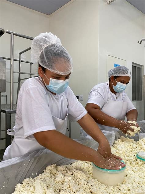 Fazenda B Lsamo Queijaria E Queijo Artesanal Serra Do B Lsamo Queijos