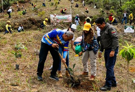 6 programas ambientales Venezuela busca ampliar la protección forestal