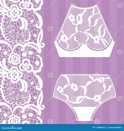 Hand Drawn Lingerie Panty And Bra Set Stock Vector Illustration Of