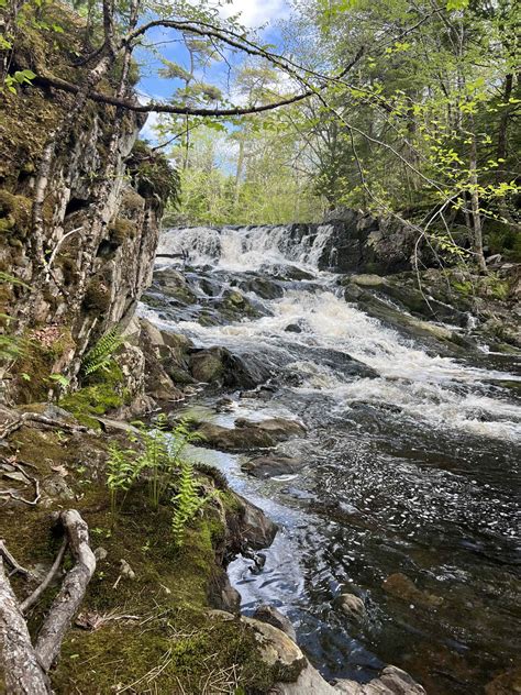 Archibald Brook: A Critical Tributary, Protected - Nova Scotia Nature Trust