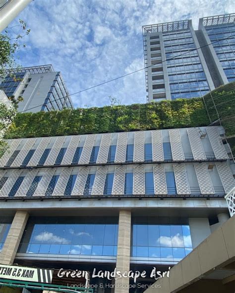 Jasa Tukang Vertical Garden Jakarta Jasa Taman Vertikal Di Jakarta