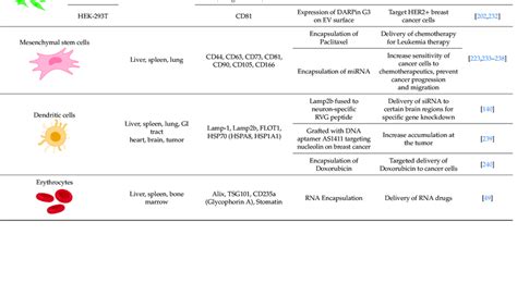 An Analysis Of The Different Sources Of Evs Their Specific Markers And