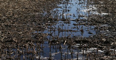 Report: Iowa, states failing to cut nutrient pollution without EPA push