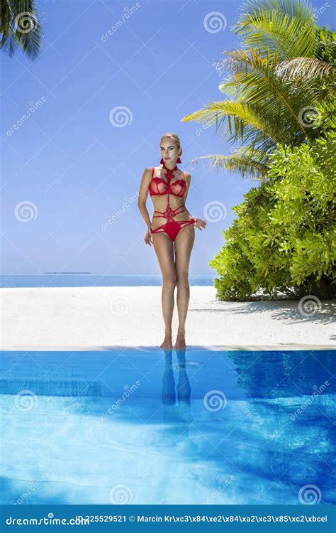 Lingerie Model Beautiful Tanned Woman Bikini Model In Pool On Maldives