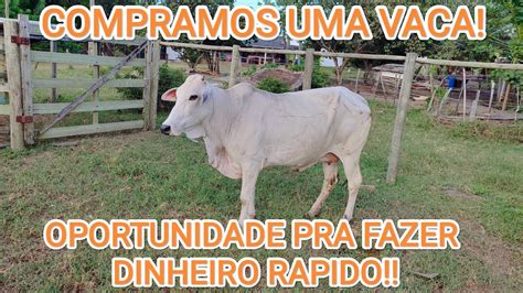 Pre O Atualizado Da Vaca Magra Aki No Es Youtube