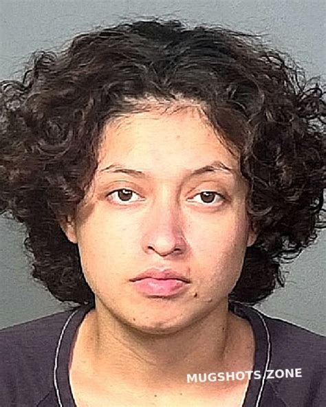 SARMIENTO AMAYA HEYLIN Y 07 20 2023 Manatee County Mugshots Zone