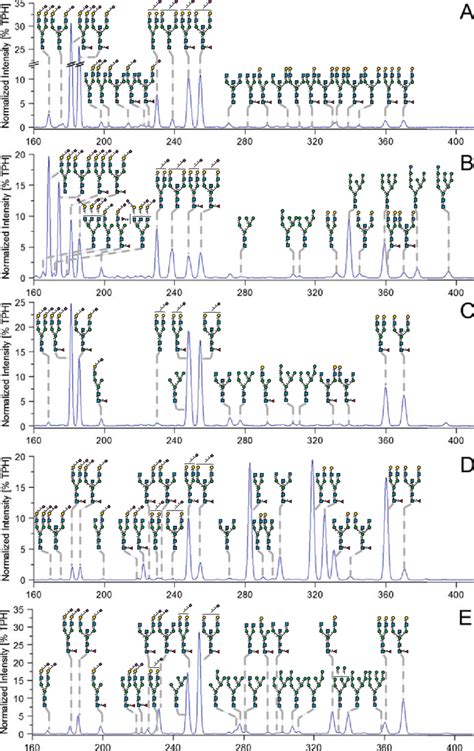 4 N Glycan Analysis Of All Human Serum Immunoglobulins By Xcge Lif