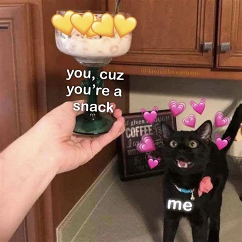 Discover The Perfect Snack Meme