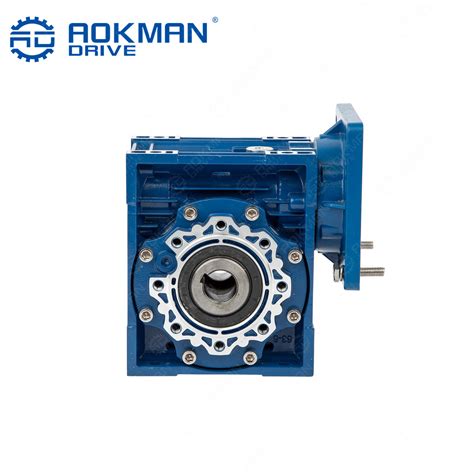 Aokman RV Series Gearbox 12V 24V 350W DC Worm Gear Motor Gearbox And