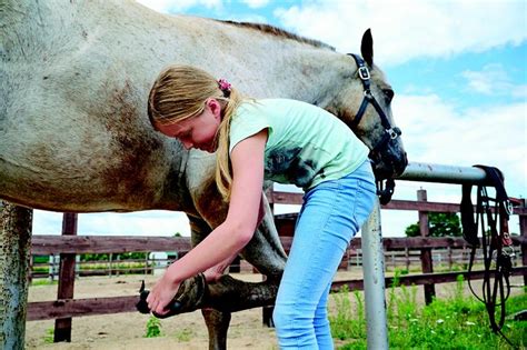 Reitferien In Brandenburg Jetzt Noch Freie Pl Tze F R Reitferienkinder