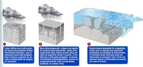 Biologia Geologia Rochas Sedimentares