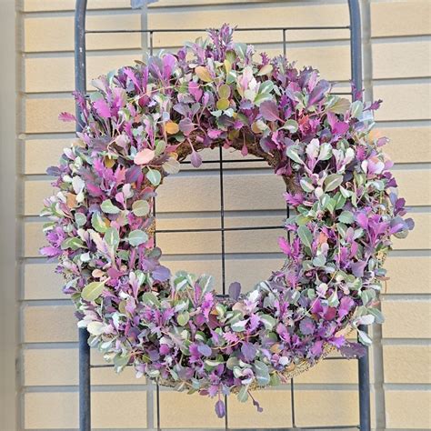 直播き葉牡丹リースの様子：種まき112日目／3ヶ月と20日目 - 咲いたらいいね