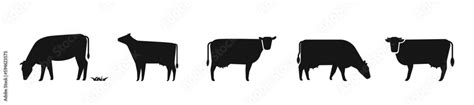 Grazing cow vector set. Cow body silhouette, calf icon Stock Vector ...