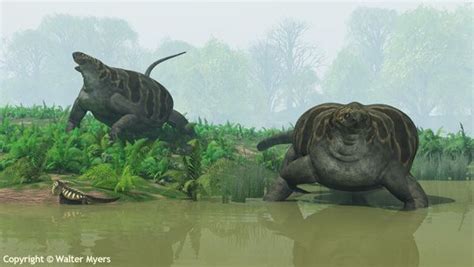 Paleozoic Earth Two Cotylorhynchus In An Early Permian Swamp With A