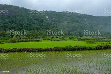 Monsoon Season India Stock Photo - Download Image Now - Asia, Beauty ...