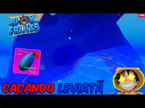 Blox Fruits Ajudando Os Inscritos Do Canal A Procura De Leviat Youtube