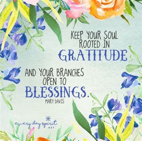 Keep Your Soul Rooted In Gratitude And Your Branches Open To Blessings