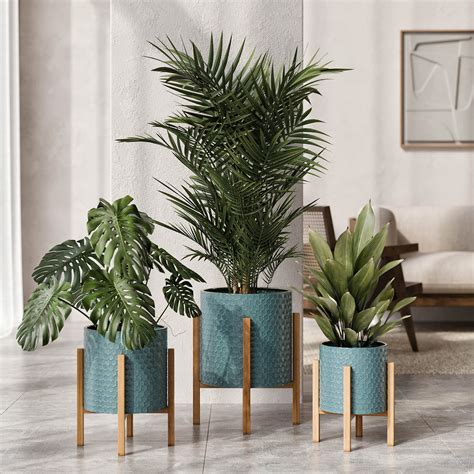 Mid Century Modern Plants