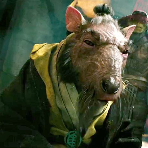 Master Splinter 2014 Tmnt