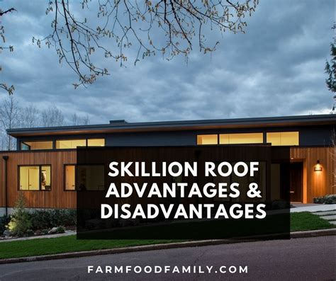 Skillion Roof: Types, Plans and Ideas, Advantages and Disadvantages