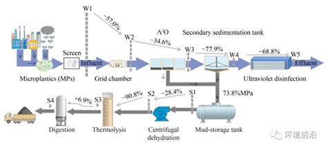 Fese前沿研究：城镇污水处理厂中微塑料和塑化剂的赋存和迁移—论文—科学网