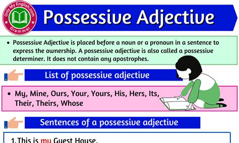 Possessive Adjective Definition Examples List Onlymyenglish Hot Sex Picture