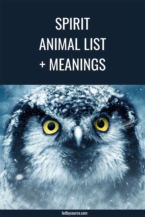 Spirit Animal List Meanings In 2023 Spirit Animal Spirit Animal