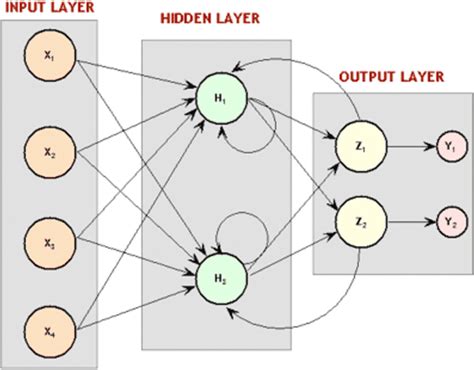 Architecture Of Multi Layer Perceptron Model Download Scientific Diagram