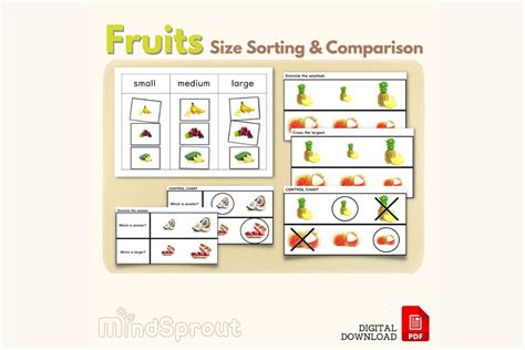 Small Medium Large Sizes Sorting And Comparing Fruits Montessori Sensorial And Vocabulary