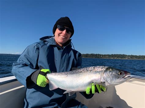 Seattle Coho Salmon Fishing Cut Plug Charters