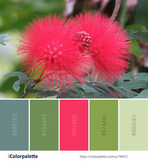 Color Palette Ideas From 9097 Flower Images Icolorpalette Color Palette Color Color Schemes