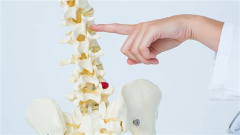 Facet Joint Pain In The Low Back Regenerative Spine And Joint