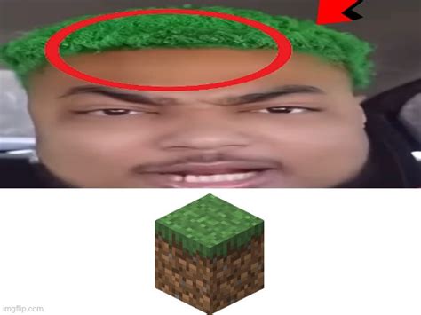 Bro’s The Grass Block Imgflip