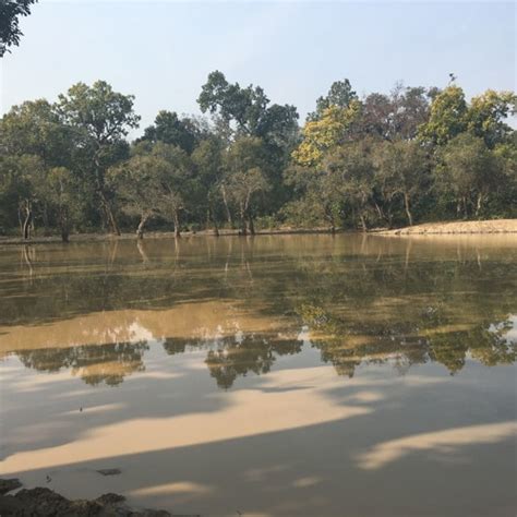 stream dechen  yeshi  listen  songs albums playlists