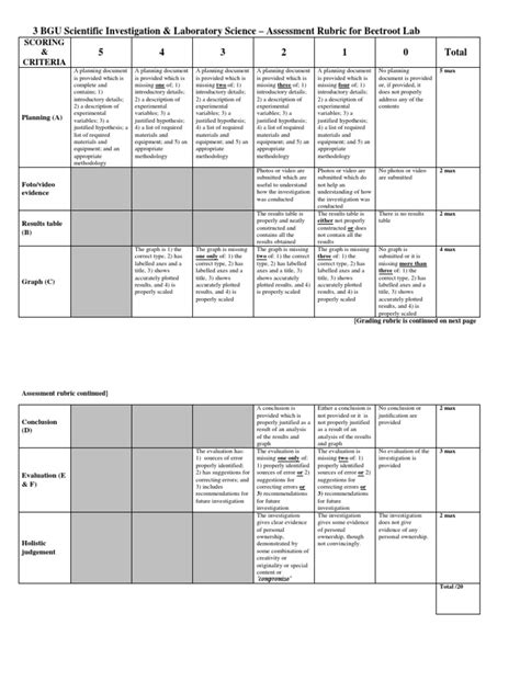 Rubric February 2022 Pdf Scientific Method Rubric Academic