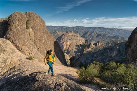 Avistamiento De Condors De California En Pinnacles National Park