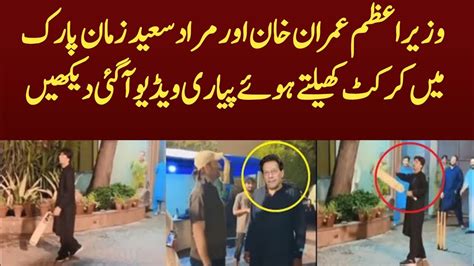 Imran Khan Playing Cricket With Murad Saeed In Zaman Park YouTube