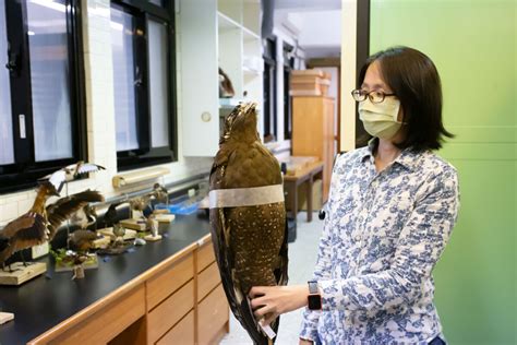 Museum Of Nature 09 研之有物 │ 串聯您與中央研究院的橋梁