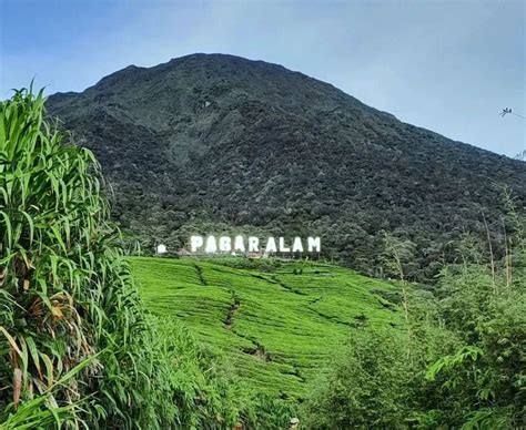 Rekomendasi Destinasi Wisata Di Pagar Alam Yang Wajib Kamu Kunjungi