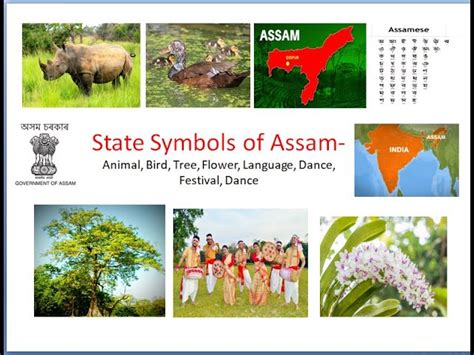 General Knowledge India State Symbols Of Arunachal Pradesh 59 Off