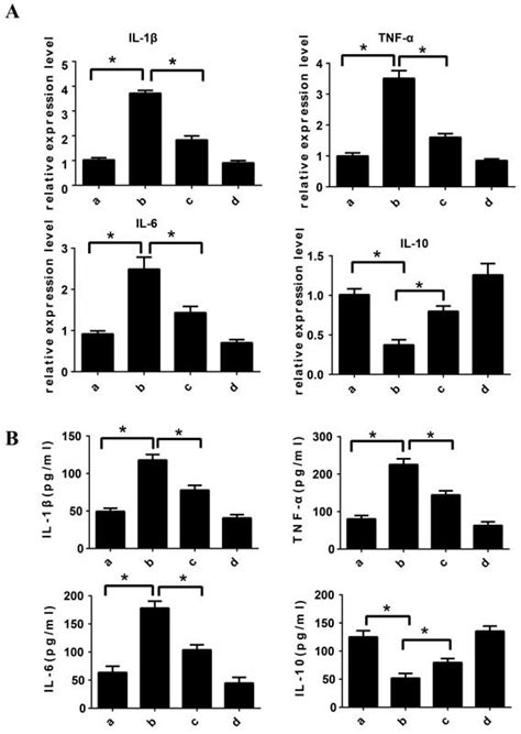 Qpcr And Elisa Data Showed The Expression Of Il 1β Il 6 And Tnf α And