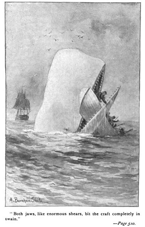 Moby Dick La Baleine D Herman Melville Femme Actuelle Le Mag