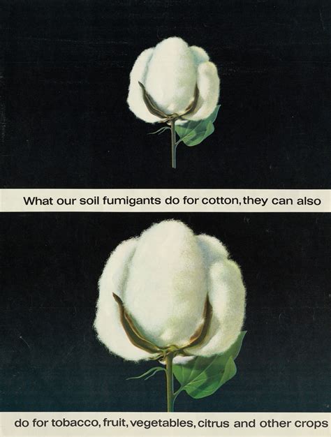 Advertisement For Dow Soil Fumigants By Dow Chemical Company Artvee