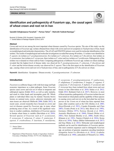 PDF Identification And Pathogenicity Of Fusarium Spp The Causal