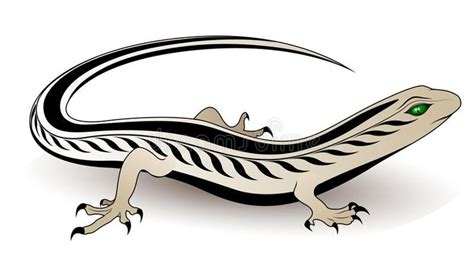 Vector Lizard Illustration