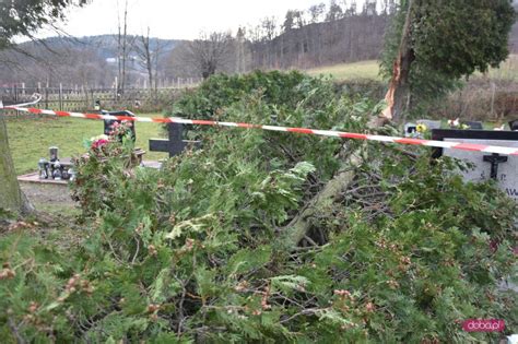 Doba Beta Stra Po Arna Na Cmentarzu W Kamionkach Zobacz Wideo I Foto